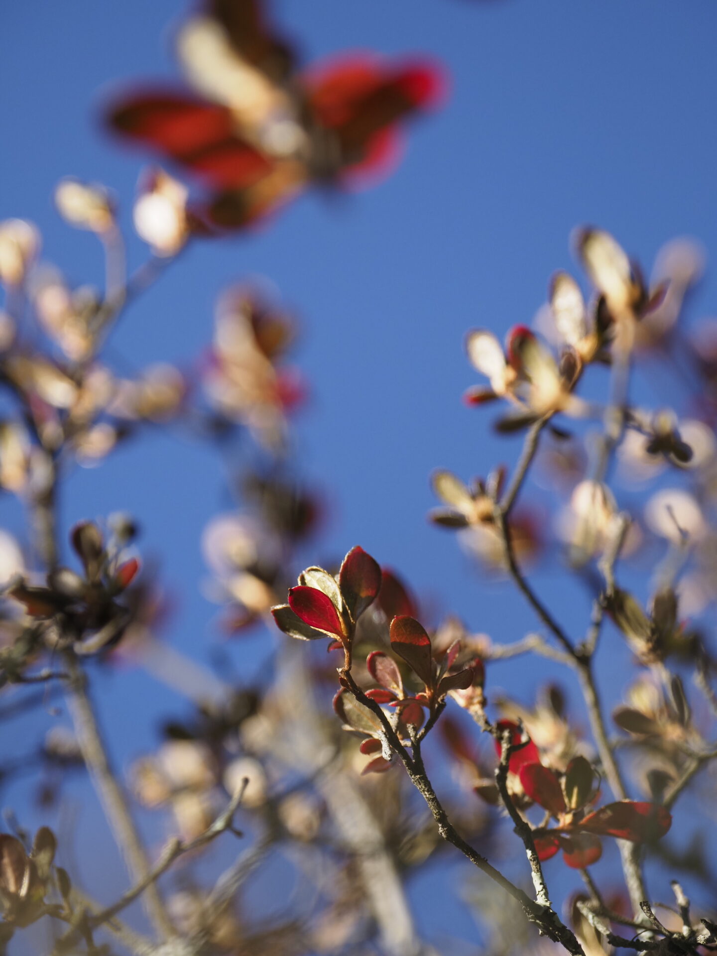 年末年始休業のお知らせ